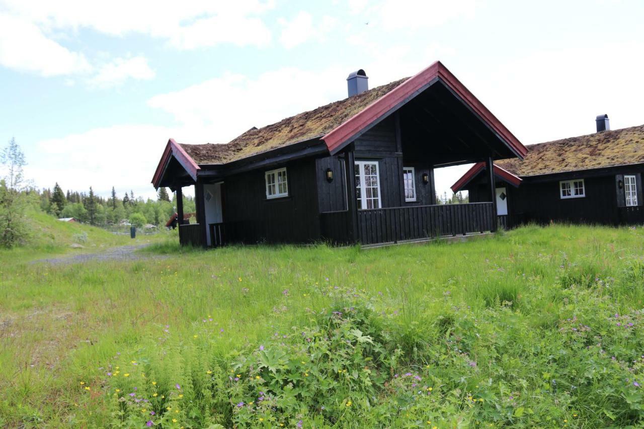Gamlestolen Fjellstue Villa Etnedal Kültér fotó