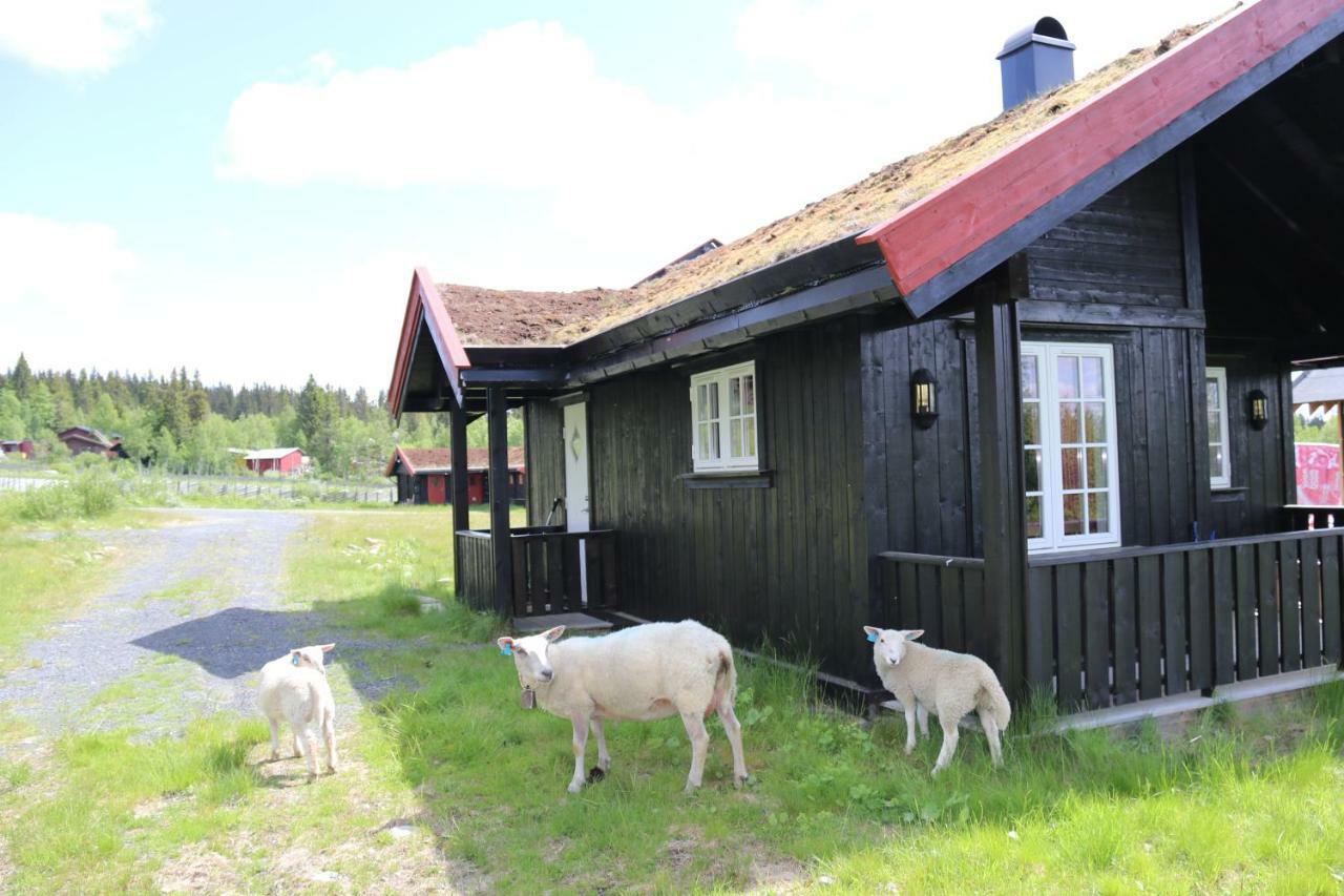 Gamlestolen Fjellstue Villa Etnedal Kültér fotó
